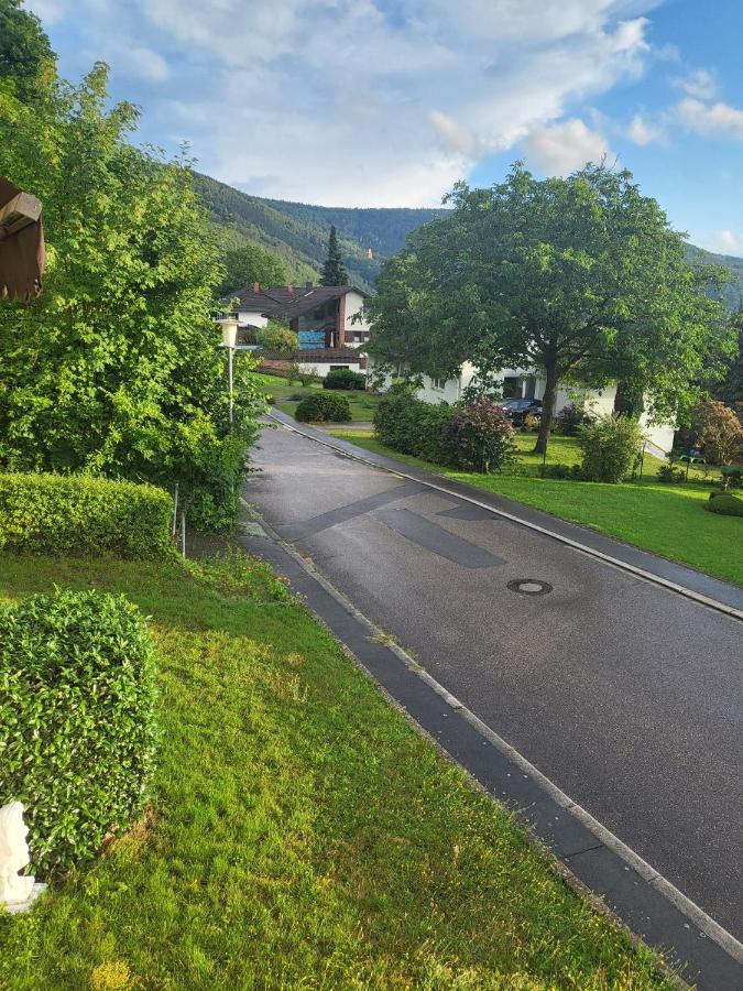 Ferienwohnung Freudenberg Freudenberg am Main Zewnętrze zdjęcie